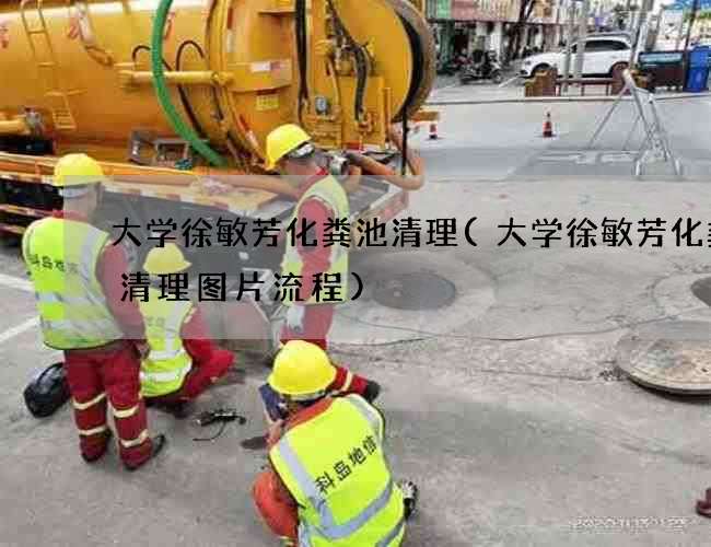 大学徐敏芳化粪池清理(大学徐敏芳化粪池清理图片流程)