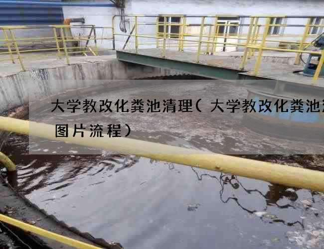 大学教改化粪池清理(大学教改化粪池清理图片流程)