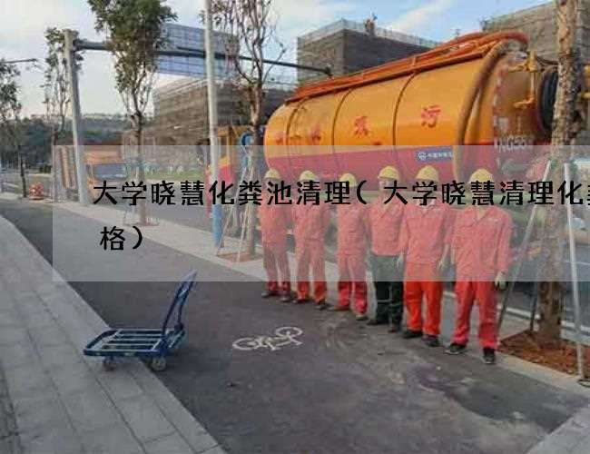 大学晓慧化粪池清理(大学晓慧清理化粪价格)