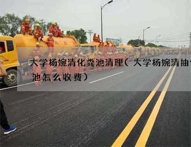 大学杨婉清化粪池清理(大学杨婉清抽化粪池怎么收费)