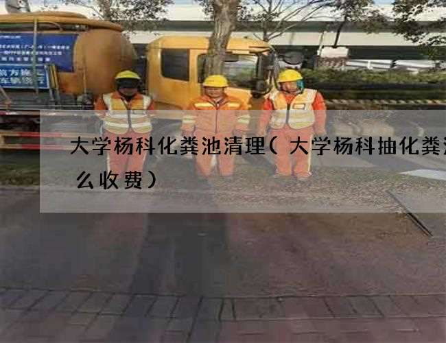 大学杨科化粪池清理(大学杨科抽化粪池怎么收费)