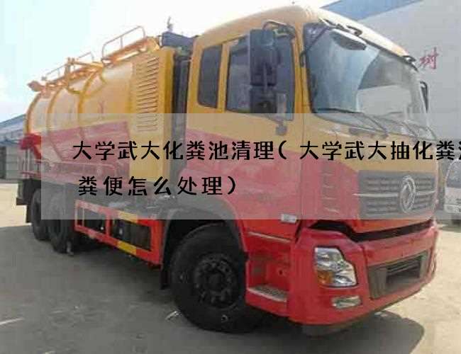 大学武大化粪池清理(大学武大抽化粪池的粪便怎么处理)