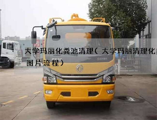 大学玛丽化粪池清理(大学玛丽清理化粪池图片流程)