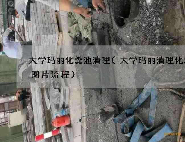 大学玛丽化粪池清理(大学玛丽清理化粪池图片流程)