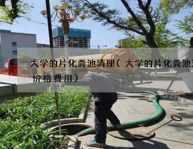 大学的片化粪池清理(大学的片化粪池清理价格费用)