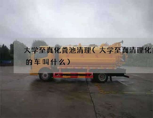 大学至真化粪池清理(大学至真清理化粪池的车叫什么)