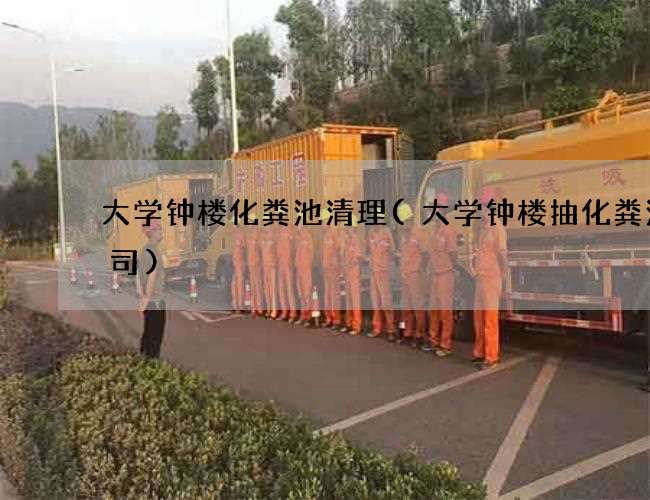 大学钟楼化粪池清理(大学钟楼抽化粪池公司) 大学钟楼化粪池清理(大学钟楼抽化粪池公司)
