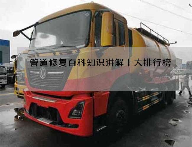 管道修复百科知识讲解十大排行榜