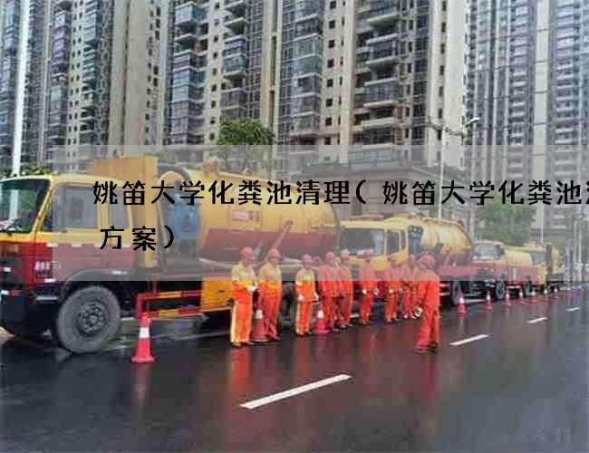 姚笛大学化粪池清理(姚笛大学化粪池清理方案)