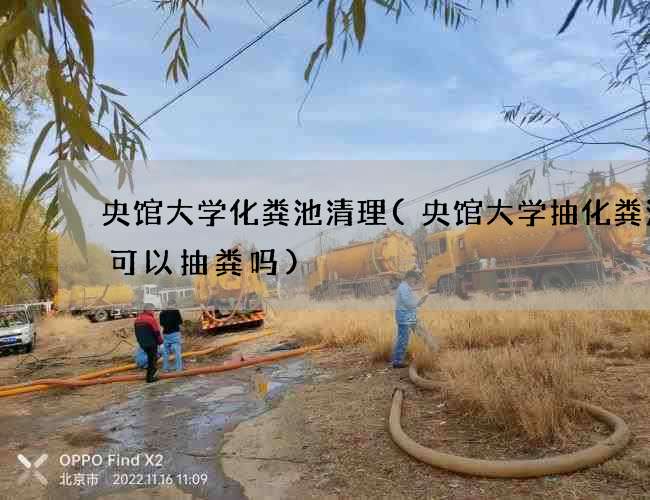 央馆大学化粪池清理(央馆大学抽化粪池车可以抽粪吗)
