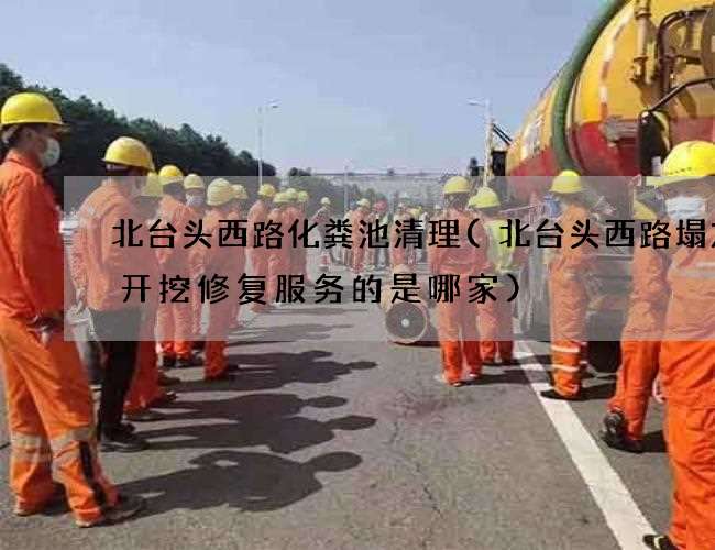 北台头西路化粪池清理(北台头西路塌方非开挖修复服务的是哪家)