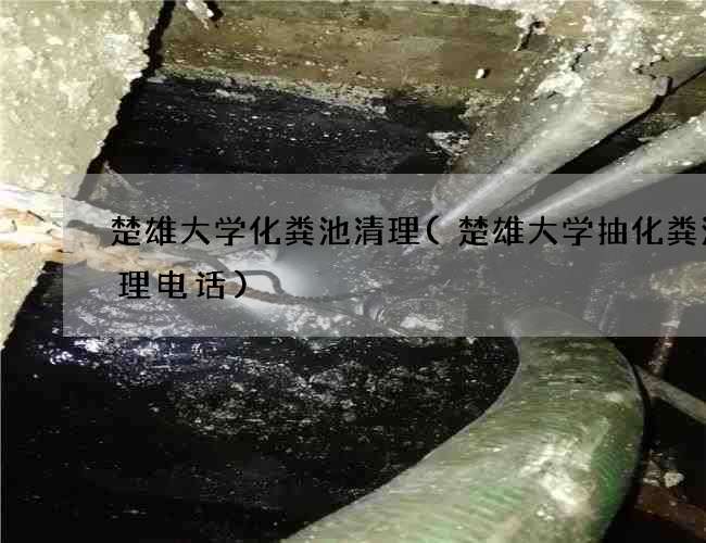 楚雄大学化粪池清理(楚雄大学抽化粪池清理电话)