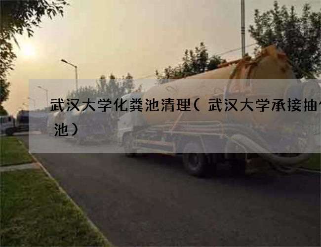 武汉大学化粪池清理(武汉大学承接抽化粪池) 武汉大学化粪池清理(武汉大学承接抽化粪池)