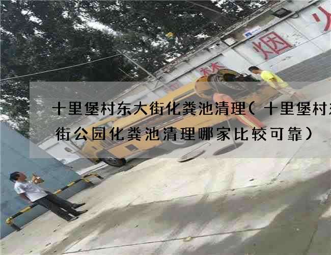 十里堡村东大街化粪池清理(十里堡村东大街公园化粪池清理哪家比较可靠)