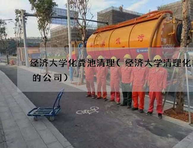 经济大学化粪池清理(经济大学清理化粪池的公司)