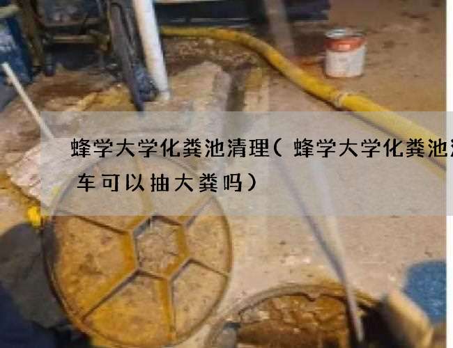 蜂学大学化粪池清理(蜂学大学化粪池清理车可以抽大粪吗)