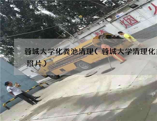 蓉城大学化粪池清理(蓉城大学清理化粪池照片)