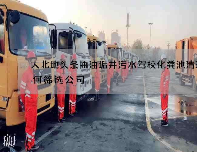 大北地头条抽油垢井污水驾校化粪池清理如何筛选公司 大北地头条抽油垢井污水驾校化粪池清理如何筛选公司