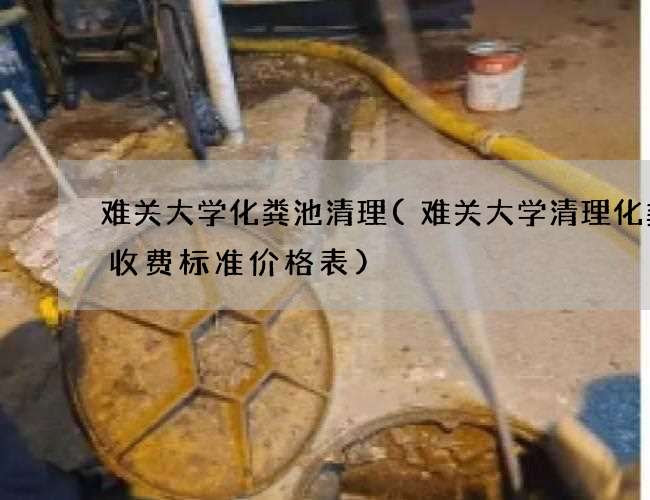 难关大学化粪池清理(难关大学清理化粪池收费标准价格表)