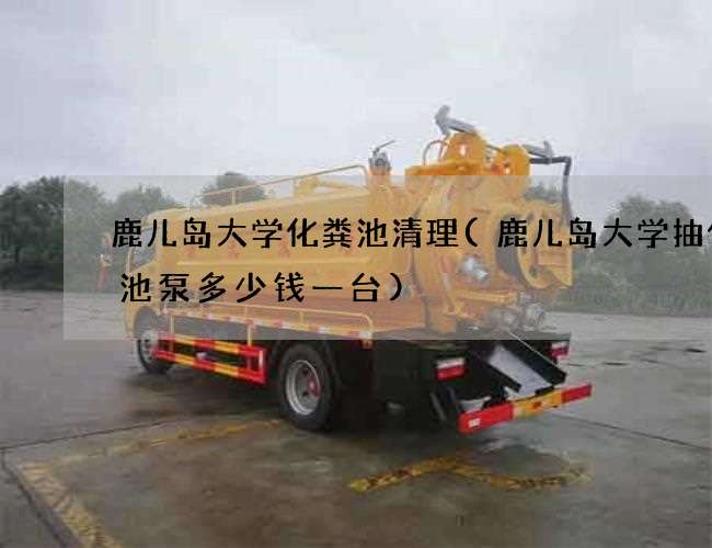 鹿儿岛大学化粪池清理(鹿儿岛大学抽化粪池泵多少钱一台) 鹿儿岛大学化粪池清理(鹿儿岛大学抽化粪池泵多少钱一台)