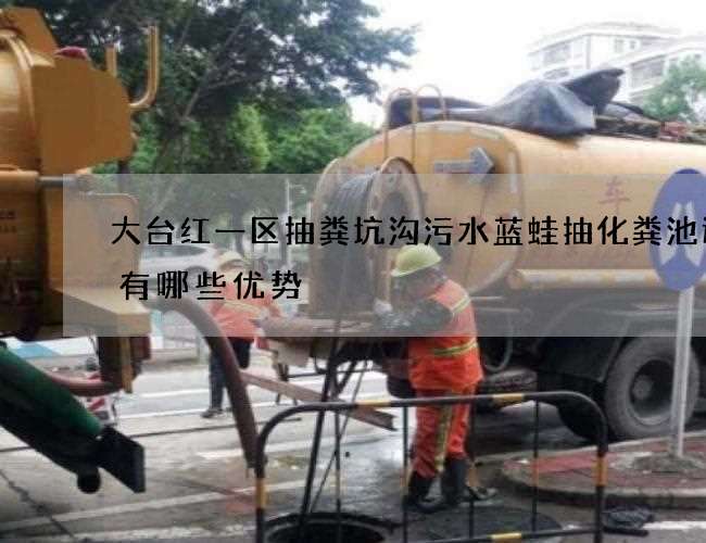 大台红一区抽粪坑沟污水蓝蛙抽化粪池选择有哪些优势 大台红一区抽粪坑沟污水蓝蛙抽化粪池选择有哪些优势