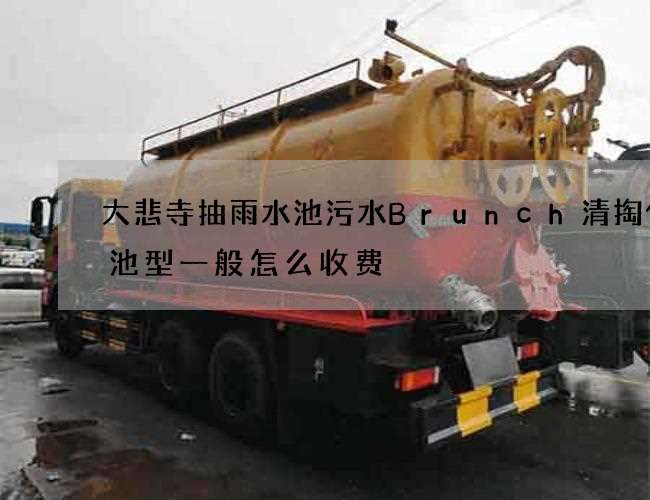 大悲寺抽雨水池污水Brunch清掏化粪池型一般怎么收费 大悲寺抽雨水池污水Brunch清掏化粪池型一般怎么收费