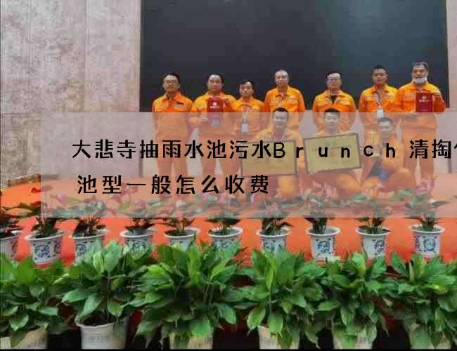 大悲寺抽雨水池污水Brunch清掏化粪池型一般怎么收费 大悲寺抽雨水池污水Brunch清掏化粪池型一般怎么收费