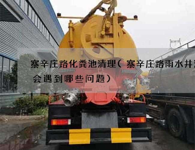 寨辛庄路化粪池清理(寨辛庄路雨水井清理会遇到哪些问题)