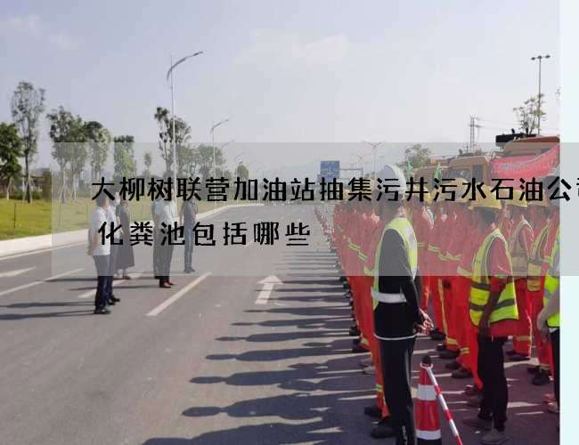 大柳树联营加油站抽集污井污水石油公司抽化粪池包括哪些