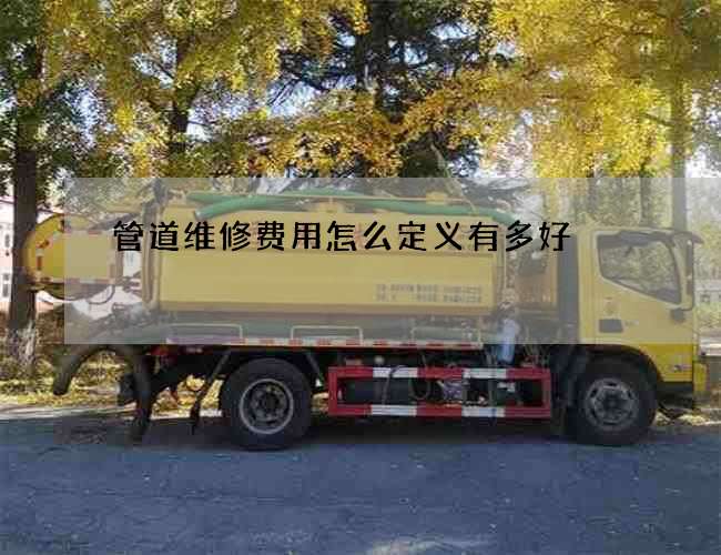 管道维修费用怎么定义有多好