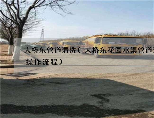 大桥东管道清洗(大桥东花园水渠管道清洗操作流程)