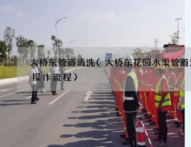 大桥东管道清洗(大桥东花园水渠管道清洗操作流程)