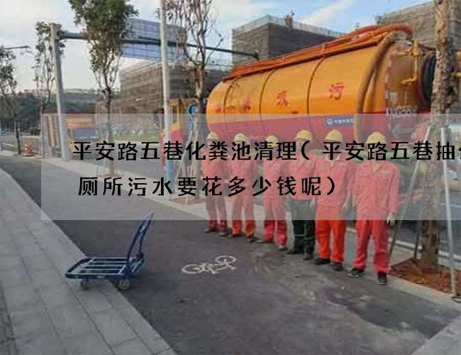 平安路五巷化粪池清理(平安路五巷抽公共厕所污水要花多少钱呢)