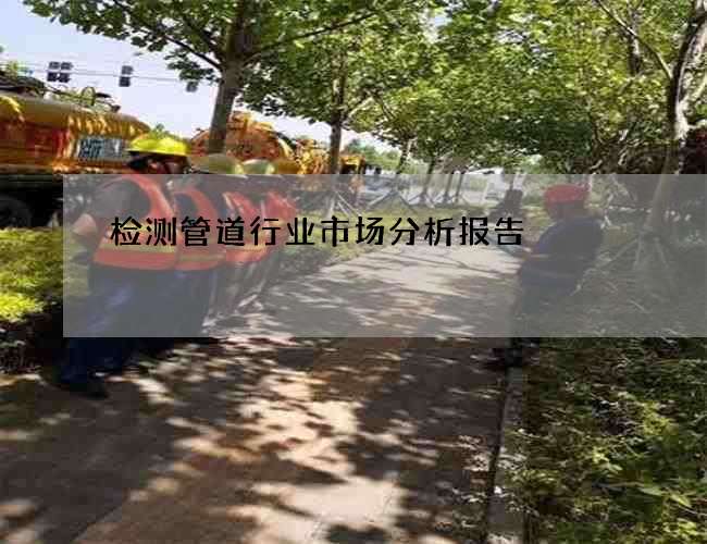 检测管道行业市场分析报告