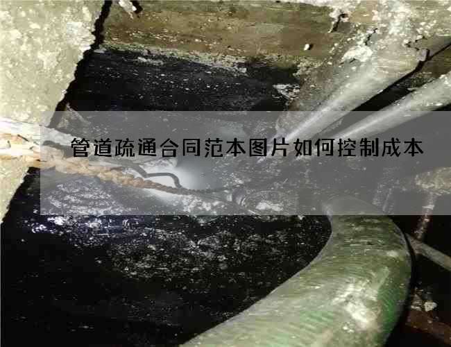 管道疏通合同范本图片如何控制成本