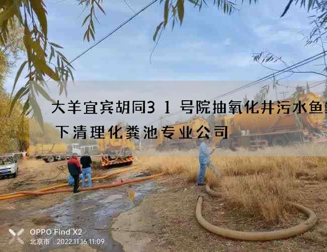 大羊宜宾胡同31号院抽氧化井污水鱼鱿天下清理化粪池专业公司