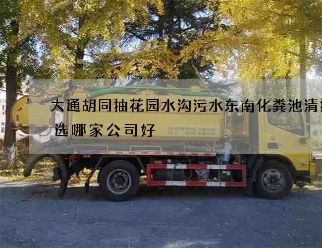 大通胡同抽花园水沟污水东南化粪池清掏首选哪家公司好 大通胡同抽花园水沟污水东南化粪池清掏首选哪家公司好
