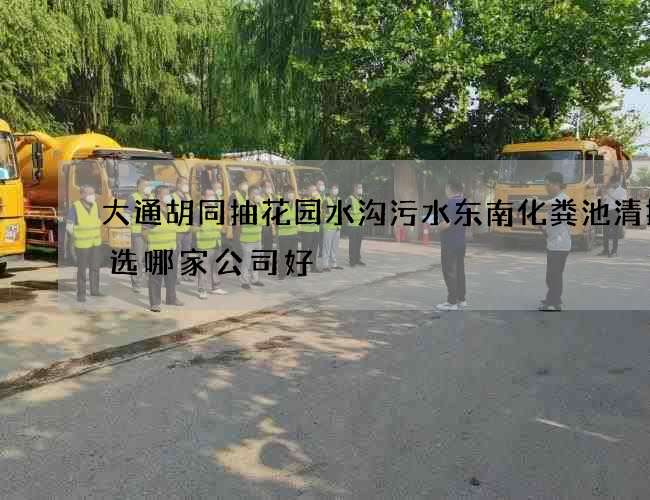大通胡同抽花园水沟污水东南化粪池清掏首选哪家公司好 大通胡同抽花园水沟污水东南化粪池清掏首选哪家公司好