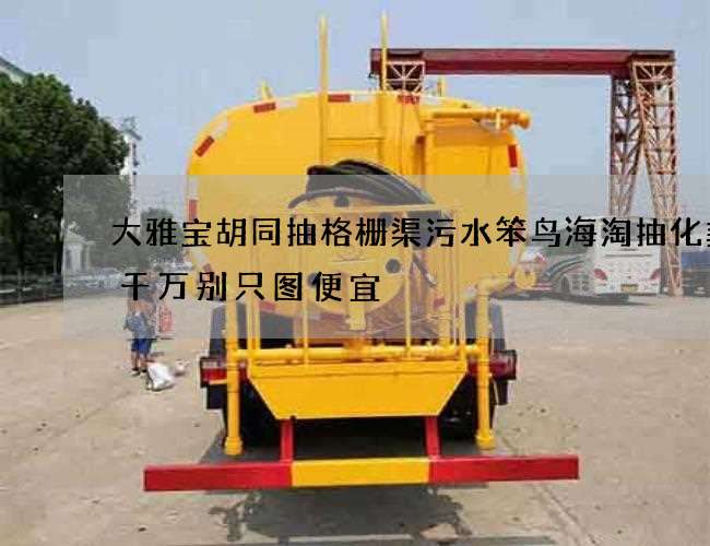 大雅宝胡同抽格栅渠污水笨鸟海淘抽化粪池千万别只图便宜