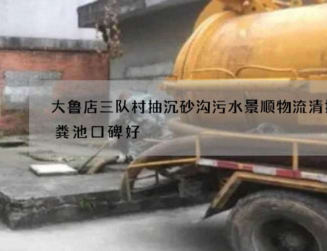 大鲁店三队村抽沉砂沟污水景顺物流清掏化粪池口碑好