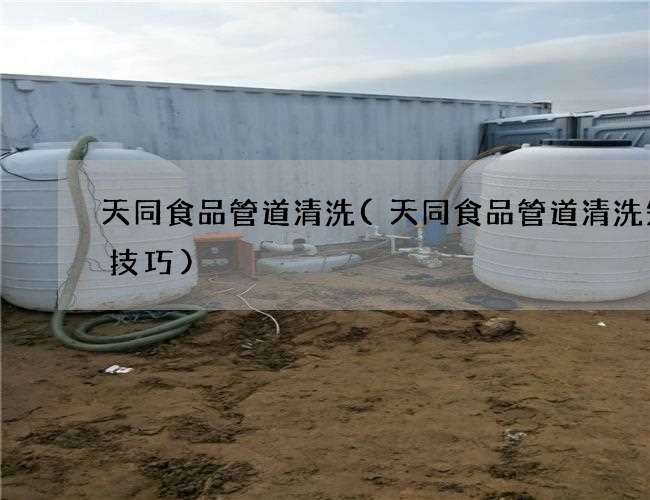 天同食品管道清洗(天同食品管道清洗知识技巧)