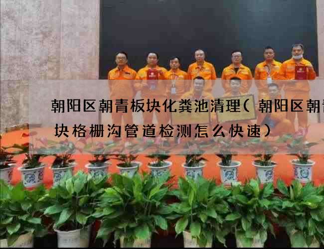 朝阳区朝青板块化粪池清理(朝阳区朝青板块格栅沟管道检测怎么快速)