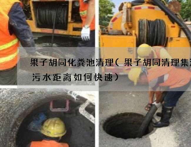 果子胡同化粪池清理(果子胡同清理集淤沟污水距离如何快速)