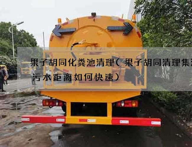 果子胡同化粪池清理(果子胡同清理集淤沟污水距离如何快速)