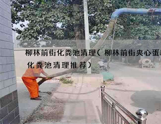 柳林前街化粪池清理(柳林前街夹心蛋糕厂化粪池清理推荐)