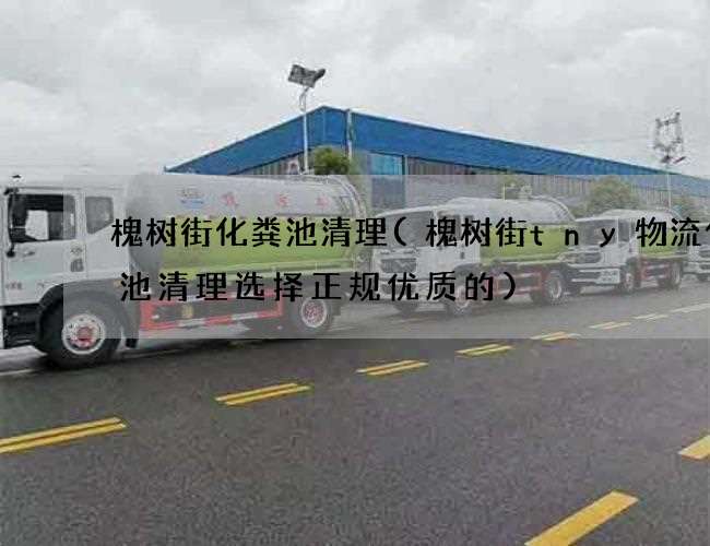 槐树街化粪池清理(槐树街tny物流化粪池清理选择正规优质的)