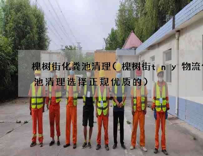 槐树街化粪池清理(槐树街tny物流化粪池清理选择正规优质的)