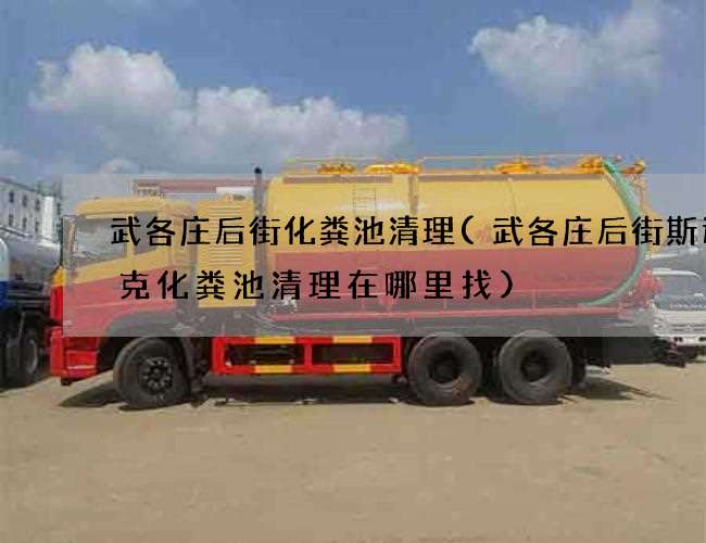 武各庄后街化粪池清理(武各庄后街斯达泰克化粪池清理在哪里找)