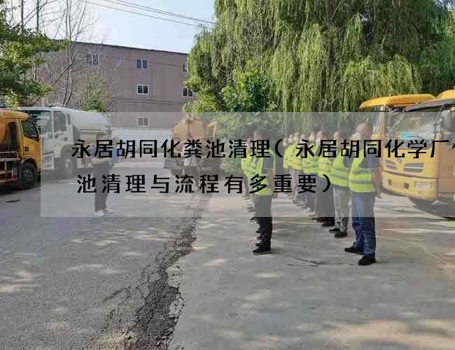 永居胡同化粪池清理(永居胡同化学厂化粪池清理与流程有多重要)