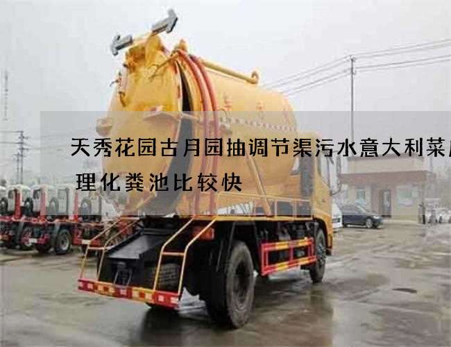 天秀花园古月园抽调节渠污水意大利菜店清理化粪池比较快 天秀花园古月园抽调节渠污水意大利菜店清理化粪池比较快